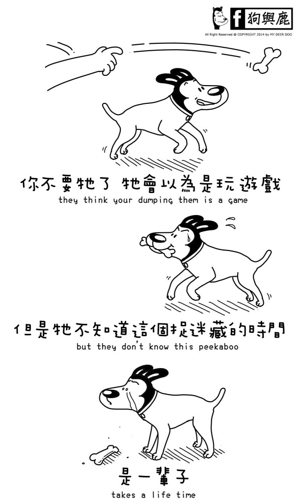 10495700_1563138207276083_8973007017104201170_o